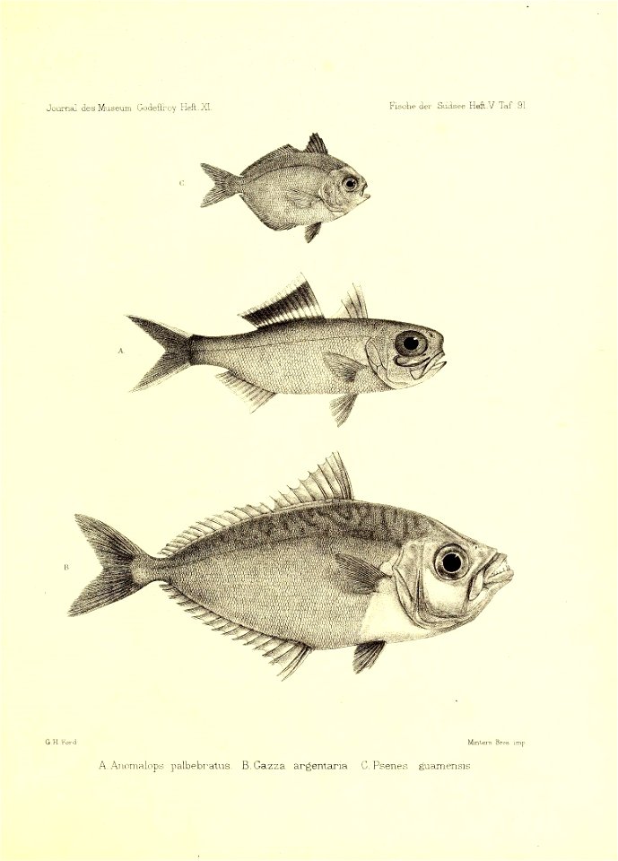 n62_w1150