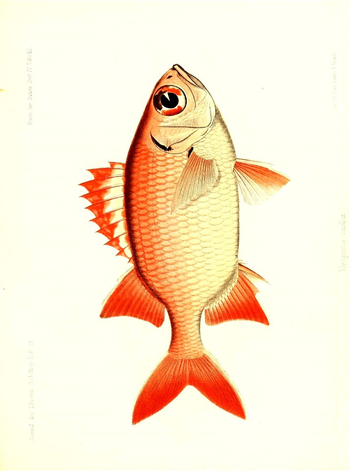 n266_w1150
