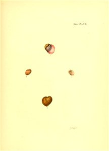n82_w1150