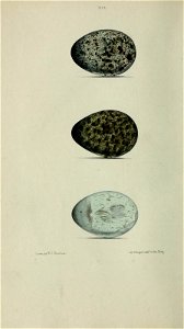 n227_w1150