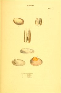 n188_w1150