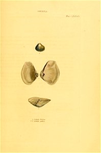 n138_w1150