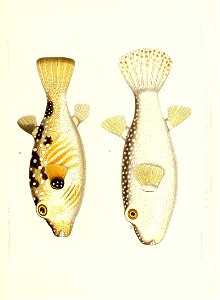n354_w1150