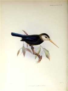 n129_w1150