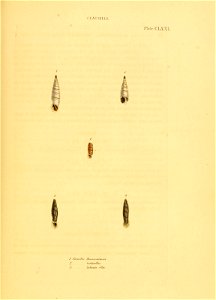 n170_w1150