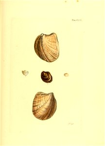 n116_w1150