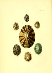 n57_w1150