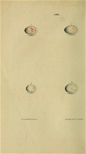 n195_w1150