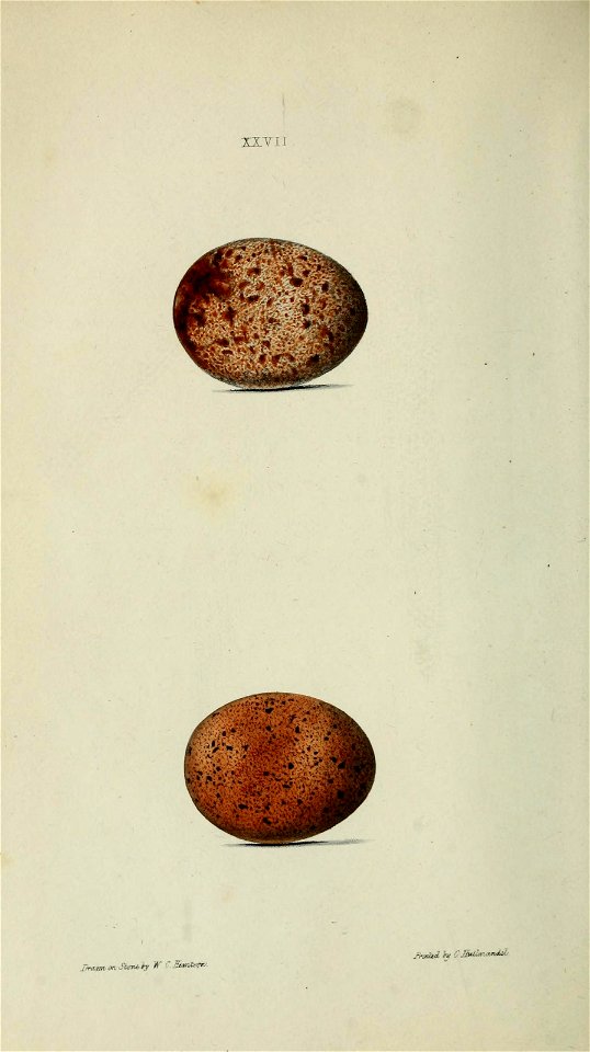n59_w1150