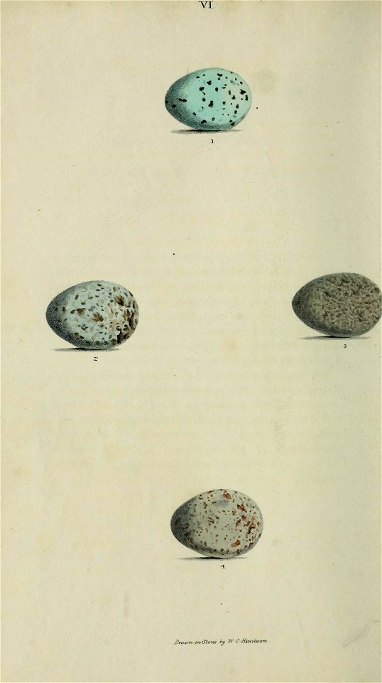 n123_w1150