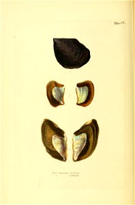 n367_w1150