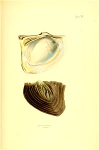 n312_w1150