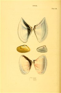 n215_w1150