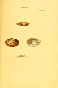 n120_w1150