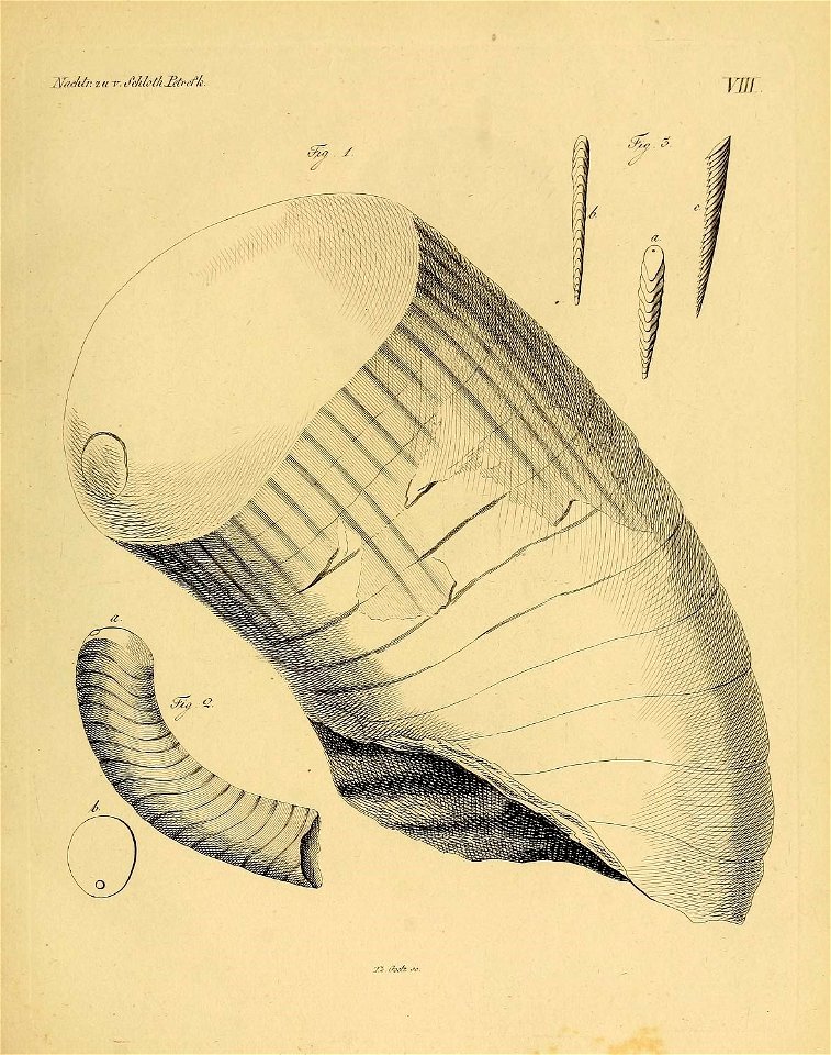 n20_w1150