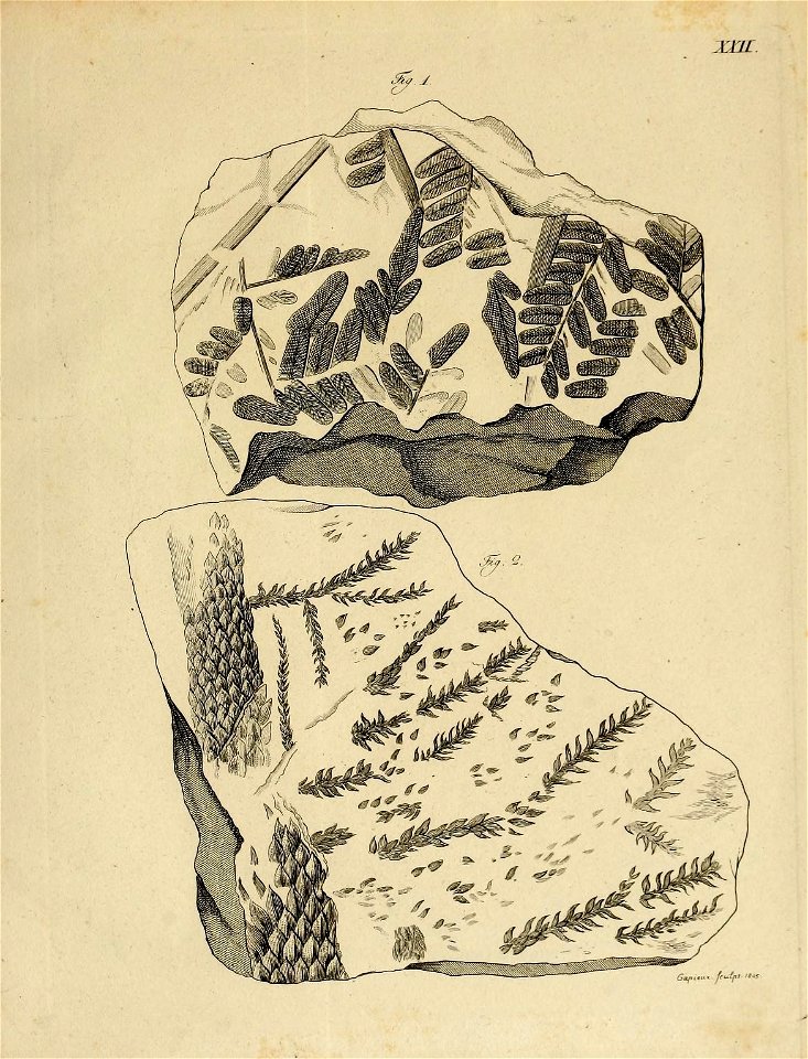 n48_w1150
