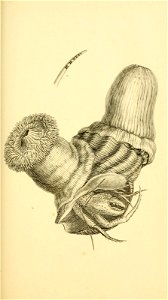 n178_w1150
