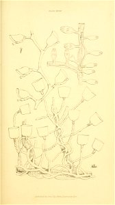 n122_w1150