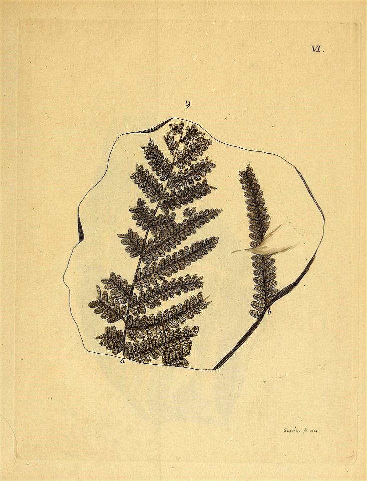 n16_w1150