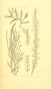 n118_w1150