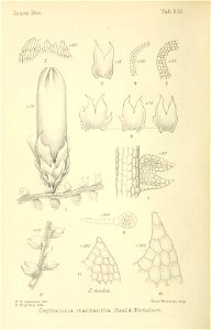 n119_w1150
