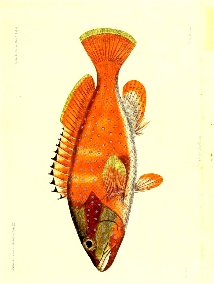 n154_w1150