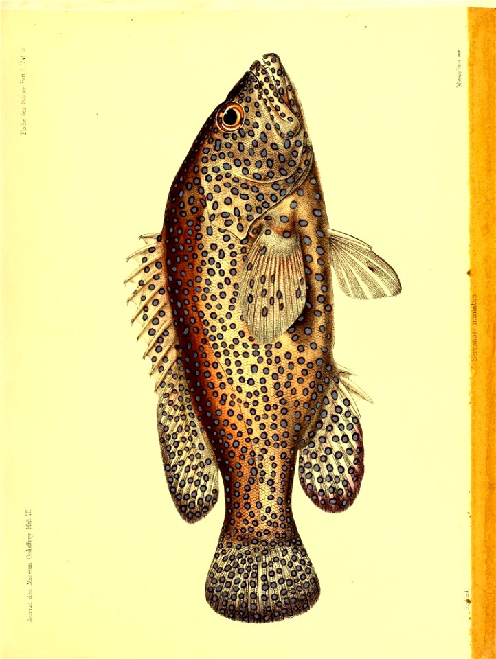 n152_w1150