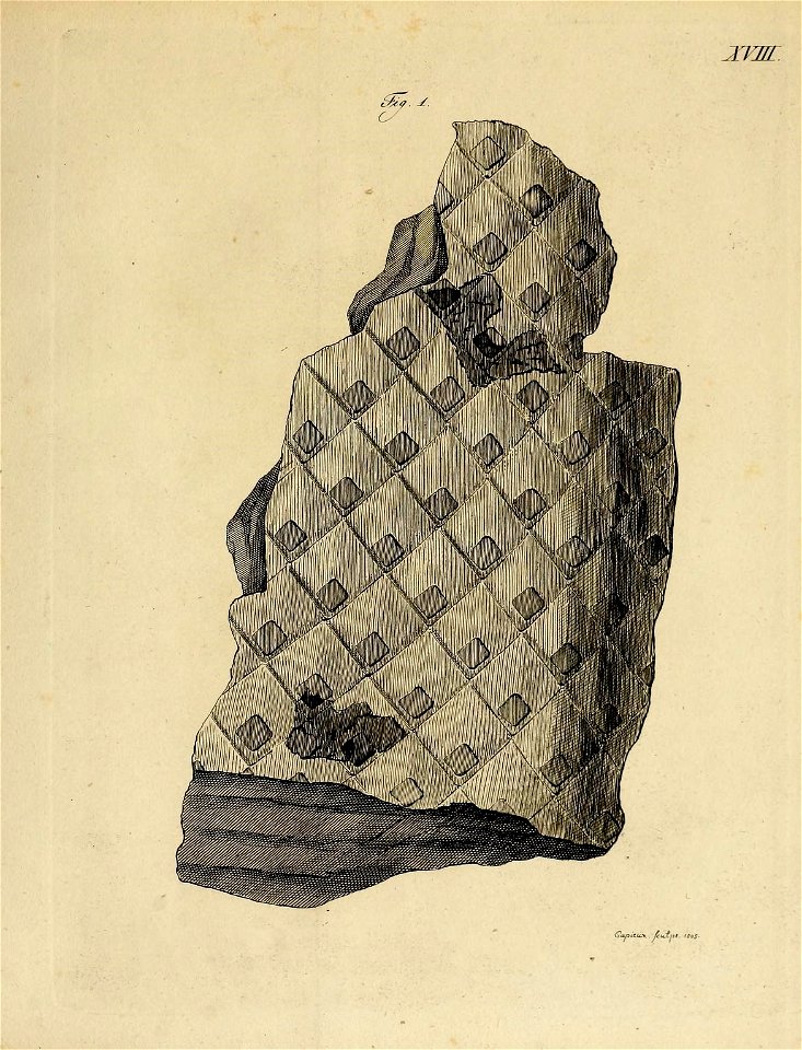 n40_w1150