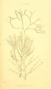 n106_w1150