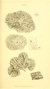 n198_w1150