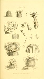 n162_w1150