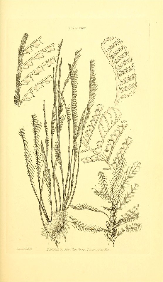 n102_w1150