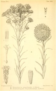 n99_w1150