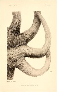 n384_w1150