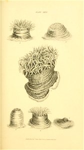 n158_w1150