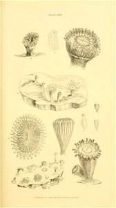 n154_w1150