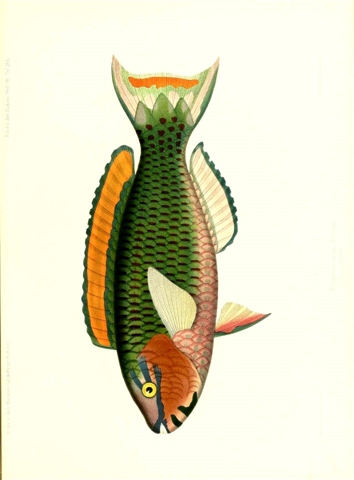 n176_w1150