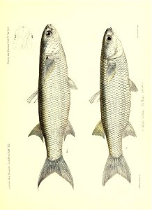 n172_w1150