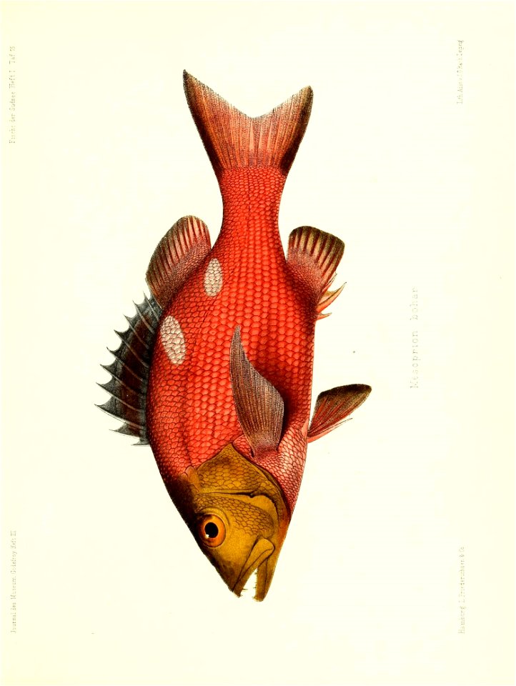n172_w1150