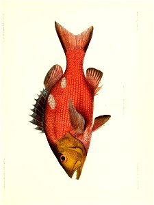 n172_w1150