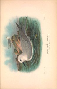 n546_w1150