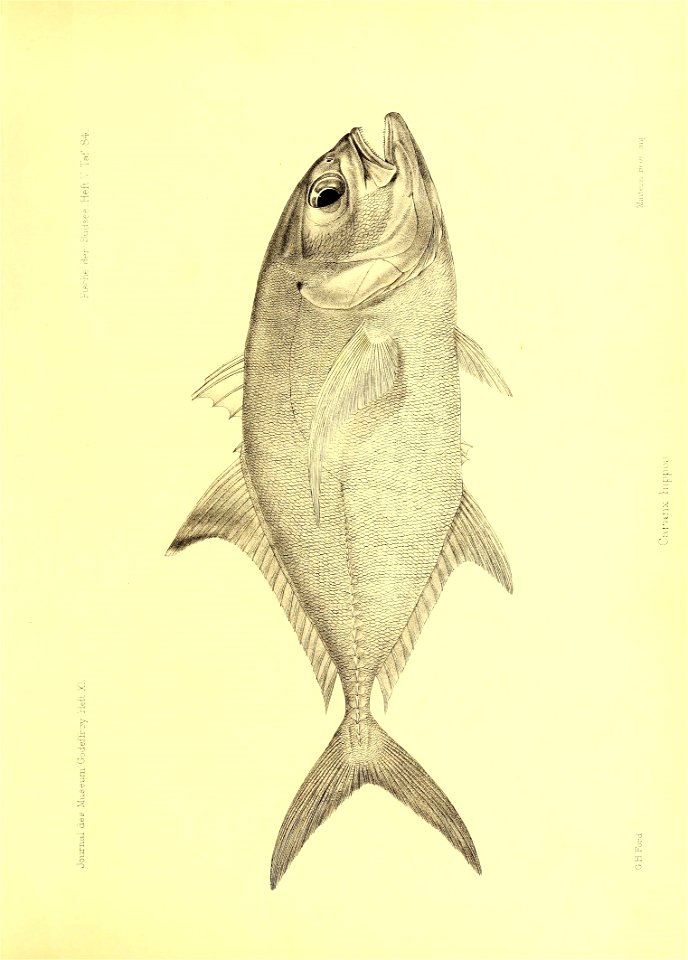 n48_w1150