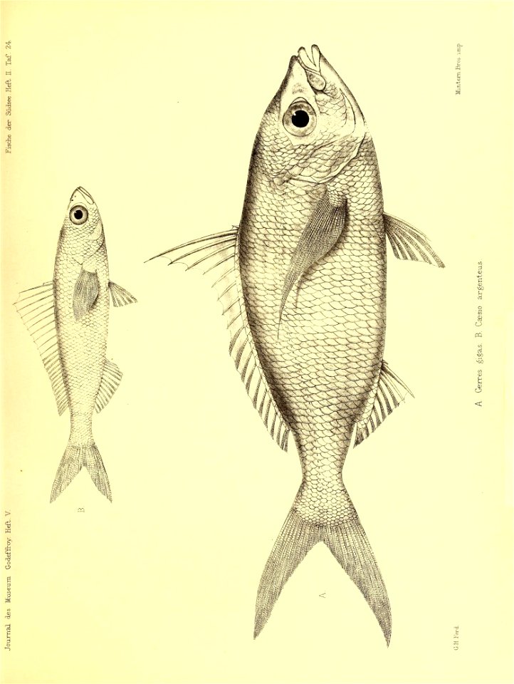 n190_w1150