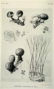 n9_w1150