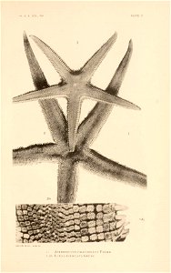 n404_w1150