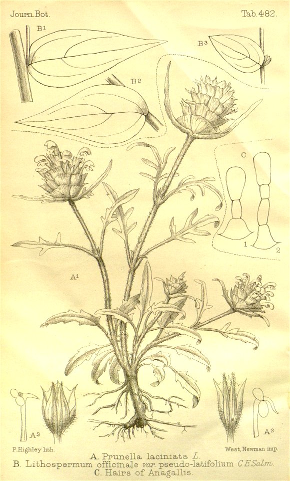 n422_w1150
