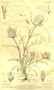 n422_w1150