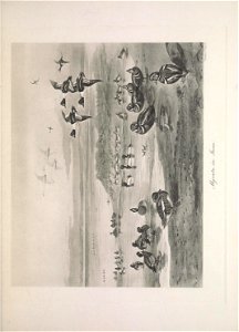 n172_w1150