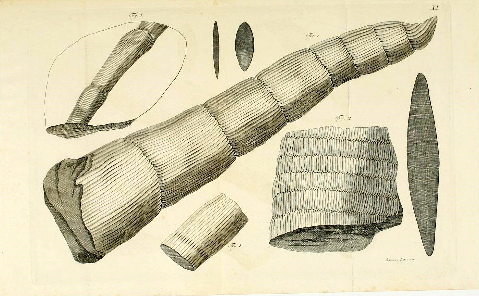 n44_w1150