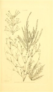 n114_w1150